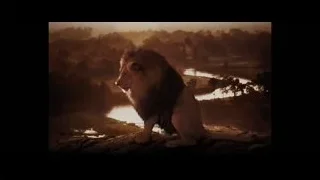 river flowing through forest at sunset — The Wolf Of Wall Street