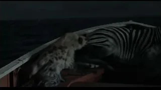 cheetah and zebra in dark room — Life of Pi