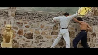 shirtless man in martial arts stance on stone wall — Bruce Lee: Enter The Dragon