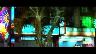 illuminated tree at night — Lucy