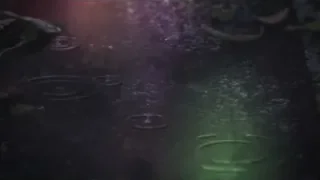 Close-up of water droplets in forest — Weathering with You