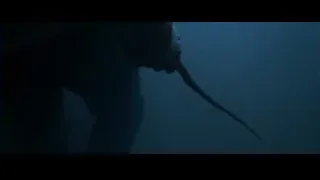 Hand holding stingray underwater — Harry Potter and the Goblet of Fire