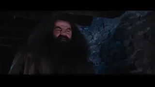 Man with beard in dark cave — Harry Potter and the Philosophers Stone