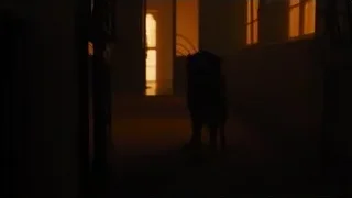 Dog silhouette in dimly lit hallway — Blade Runner 2049