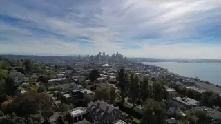 aerial view of city with skyscraper and water — Screened Out