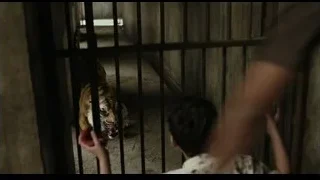 Man holding boy's hand through metal gate — Life of Pi