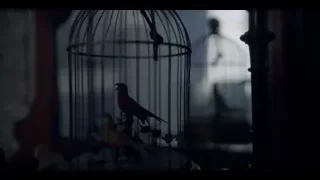 Red bird in birdcage in dark room — Peaky Blinders