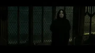 man in black robe by window — Harry Potter and the Deathly Hallows 2