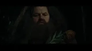 man holding leaves deep in thought — Harry Potter and the Goblet of Fire