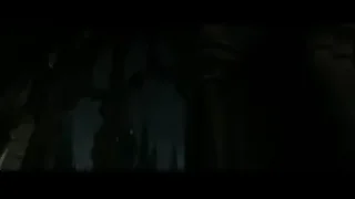 Two people in foggy stone hallway — Harry Potter and the Deathly Hallows 2