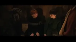 two boys and dog in dimly lit room — Harry Potter and the Philosophers Stone