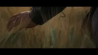 hand reaching out to golden grass field — Gladiator