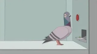 pigeon holding smartphone in beak — Screened Out