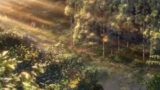 sun shining through forest trees — Your Name