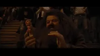 bearded man speaking to a crowd at night — Harry Potter and the Goblet of Fire