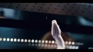 red-haired woman holding small object — Jurassic World