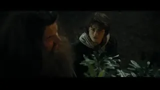 young man looking at plant in dark forest — Harry Potter and the Goblet of Fire