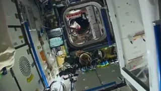 Person hanging from space station window — Elon Musk: Return to Space