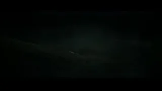 dark eerie forest at night with fog — Harry Potter and the Deathly Hallows 2