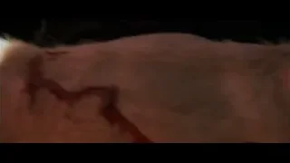 Man attacked by bull horror scene — Gladiator