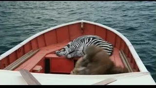 zebra lying in red boat on water — Life of Pi