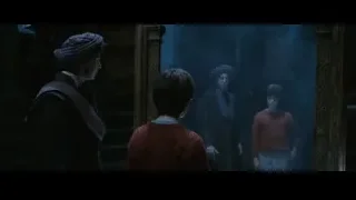 Hermione Ron Snape by large mirror — Harry Potter and the Philosophers Stone