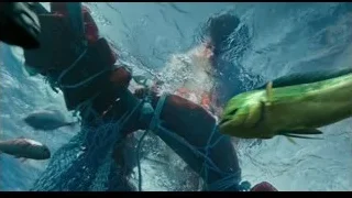 person swimming with large fish in ocean — Life of Pi