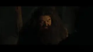 man with curly hair and beard looking serious — Harry Potter and the Goblet of Fire