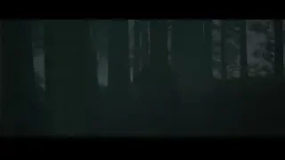 Person walking through dark forest with lantern — Harry Potter and the Goblet of Fire