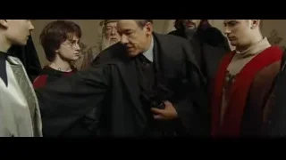 woman holding a small green bird — Harry Potter and the Goblet of Fire