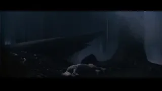 Dark eerie cave with tree and driftwood — Harry Potter and the Philosophers Stone