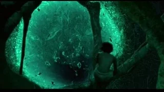 Person in underwater cave with fish — Life of Pi