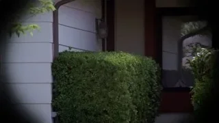 man behind black metal garden gate — Breaking Bad