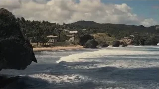 beautiful beach with crashing waves and palm trees — Succession