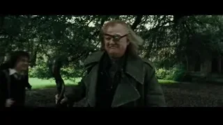 person walking towards stone building in park — Harry Potter and the Goblet of Fire