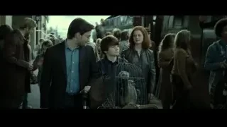 young boy with birdcage walking on street — Harry Potter and the Deathly Hallows 2