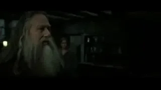 Elderly man with white beard in dimly lit room — Harry Potter and the Deathly Hallows 2