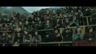 crowd in stadium with Harry Potter signs — Harry Potter and the Goblet of Fire