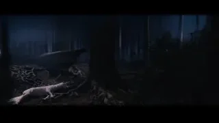 Person looking at dead animal — Harry Potter and the Philosophers Stone