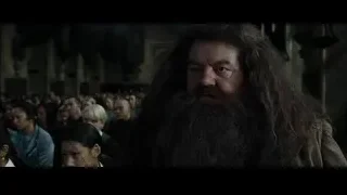 bearded man standing in crowded hall — Harry Potter and the Goblet of Fire