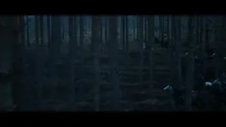 Dark and eerie forest — Gladiator