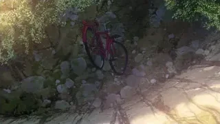 Red bicycle leaning against stone wall — Your Name