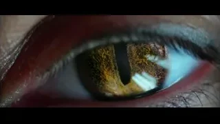 close-up of colorful human eye — Lucy