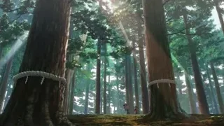 two people walking through sunny forest — Your Name