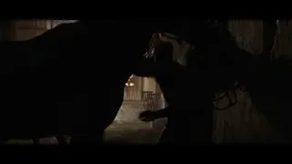 man kneeling next to horse in stable — Gladiator